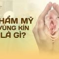 Thẩm mỹ vùng kín là gì?